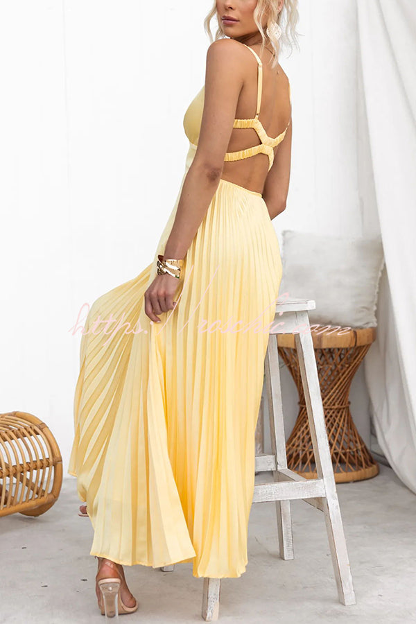 Lucy | Stunning Pleated Dress