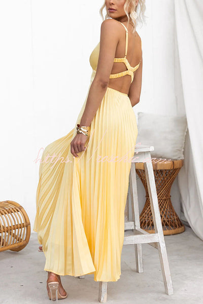 Lucy | Stunning Pleated Dress